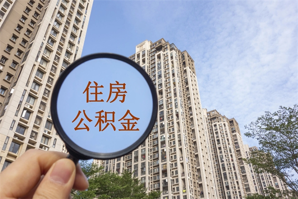 莘县离职多久可以取住房公积金(离职多久后能取公积金) 莘县离职多久可以取住房公积金(离职多久后能取公积金)